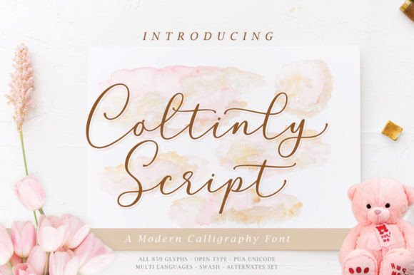 Coltinly Script: A Font Review from Practical Brand Design