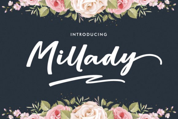 Millady Script: An Expert Review for Campaign Designers