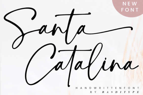 Santa Catalina: A Font Review for Authentic Branding